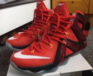 Nike LeBron Xii Elite basketball shoe - side view