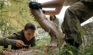 Annihilation 2018 horror movie