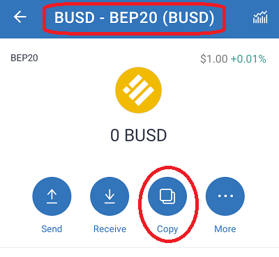 copy the busd bep20 (bsc) address of the destination wallet