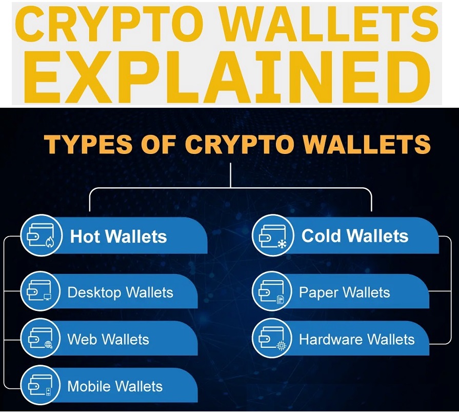 types of crypto wallets; hot wallet, cold wallet, custodial wallet, non custodial wallet