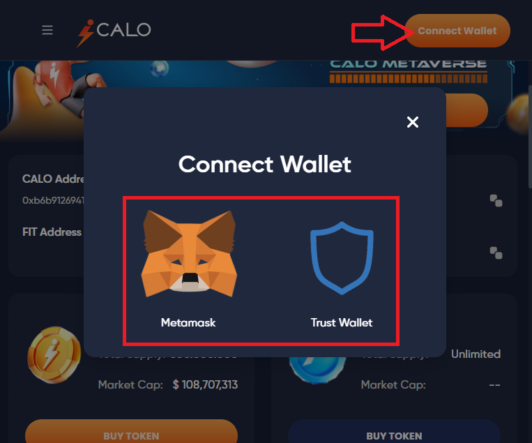 How to connect your wallet to Calo move2earn dApp