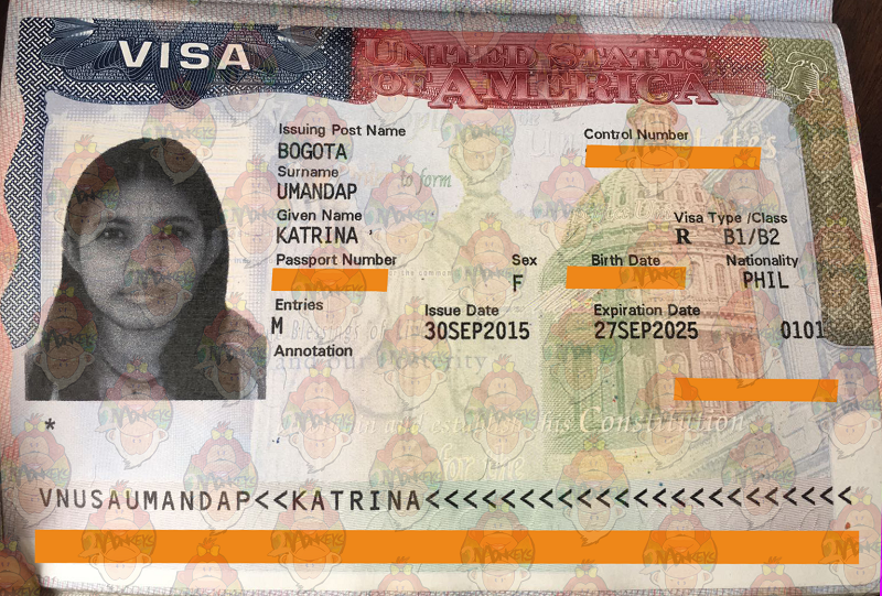 United States Non-Immigrant Visa